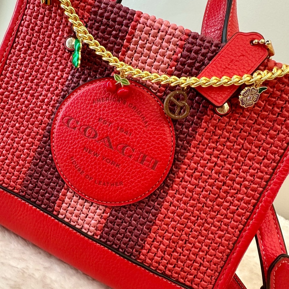 Coach Red and Burgundy Woven Bag